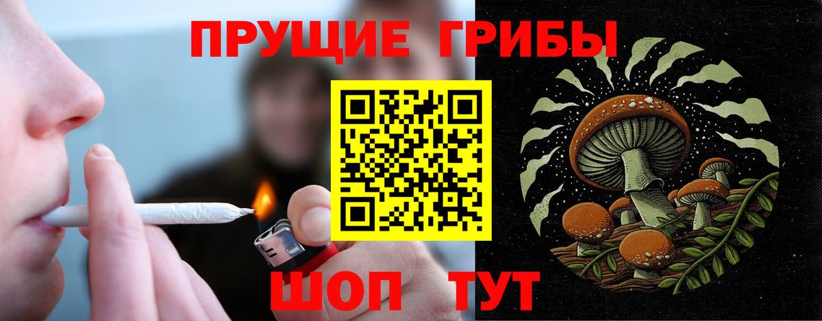 Псилоцибиновые грибы MAGIC MUSHROOMS  Вход с VPN  Ялта 