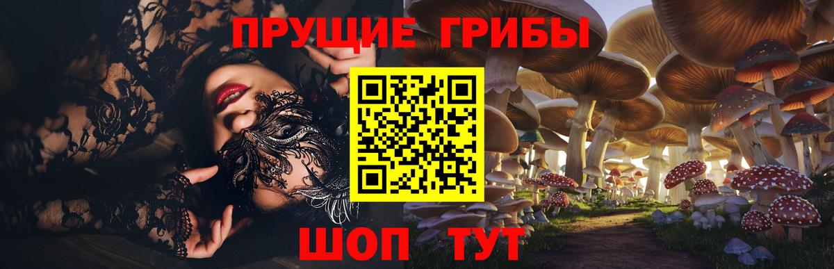 Псилоцибиновые грибы Psilocybe Ялта